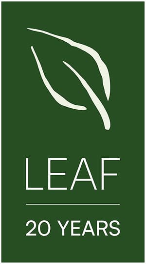 Footer Logo