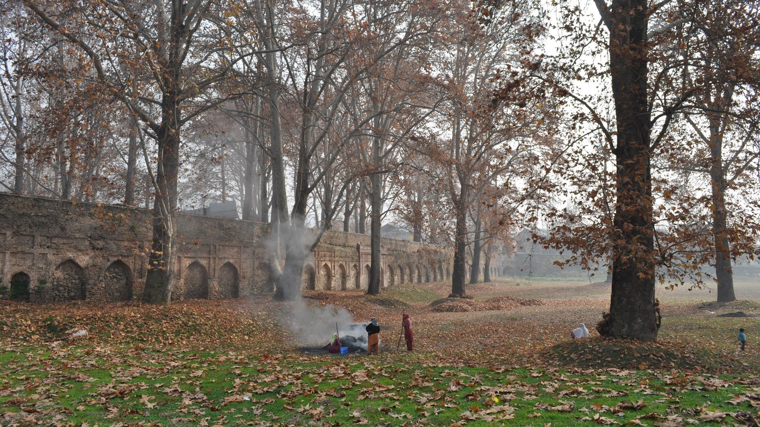 Tracing Narratives Indian Landscape design (2017)