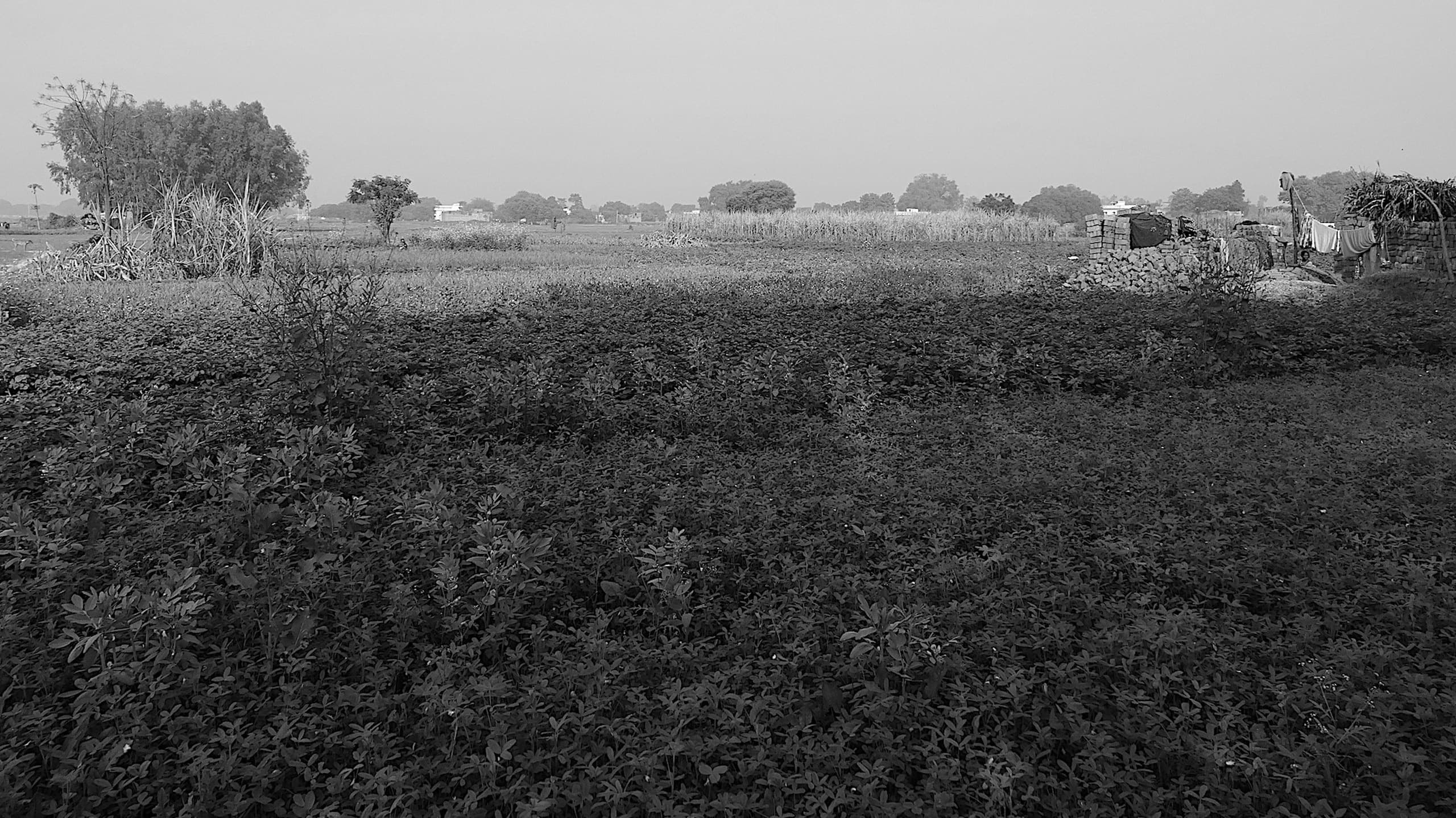 Varanasi The Village (2015)